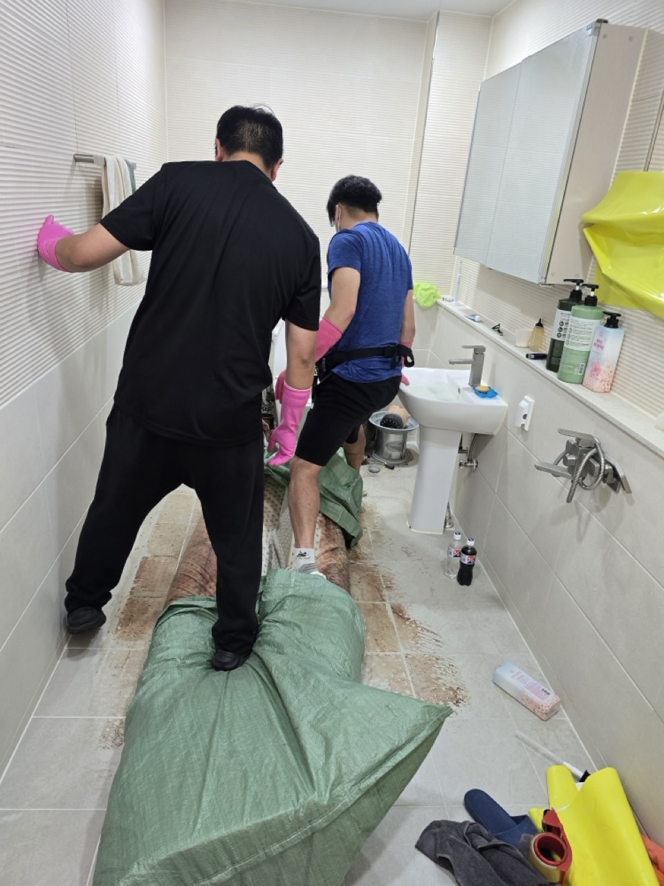 성남시 분당구 서현동 작업 중